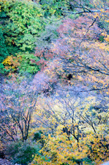 伊香保１１