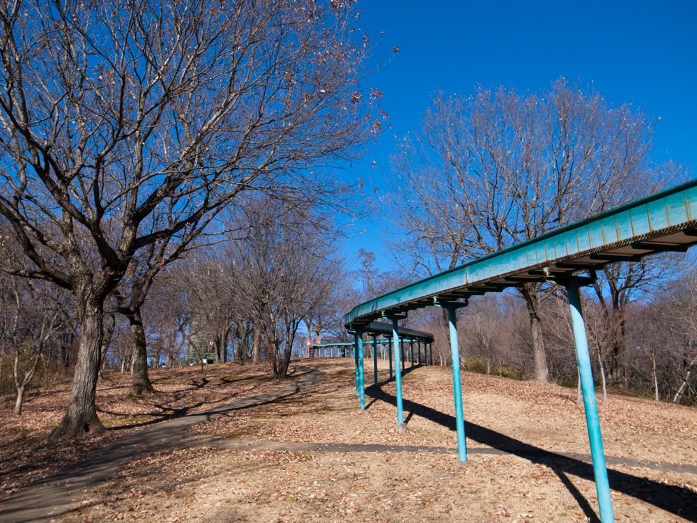 冬枯れの公園①