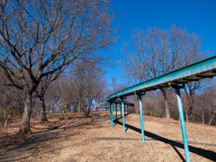 冬枯れの公園①
