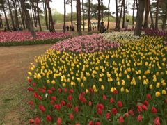国営ひたち海浜公園③