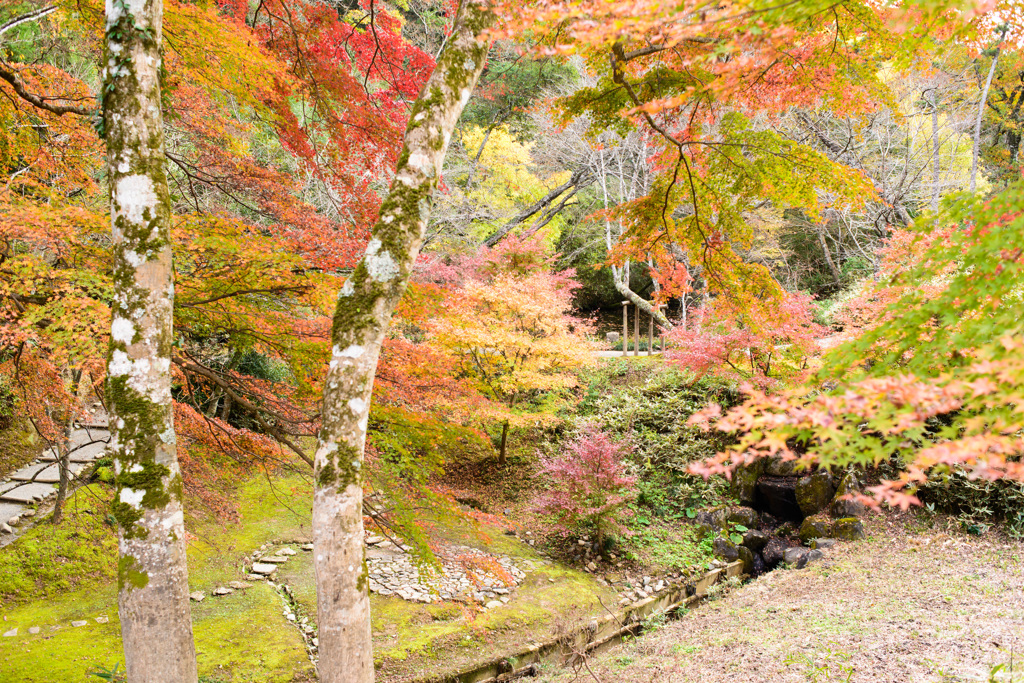 西山荘④