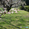 弘道館公園にて①