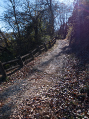冬枯れの公園③