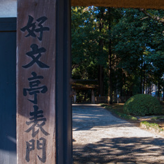 水戸偕楽園①