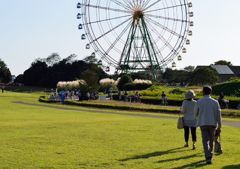 国営ひたち海浜公園