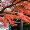 常盤神社