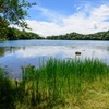 image湯ノ湖 ②