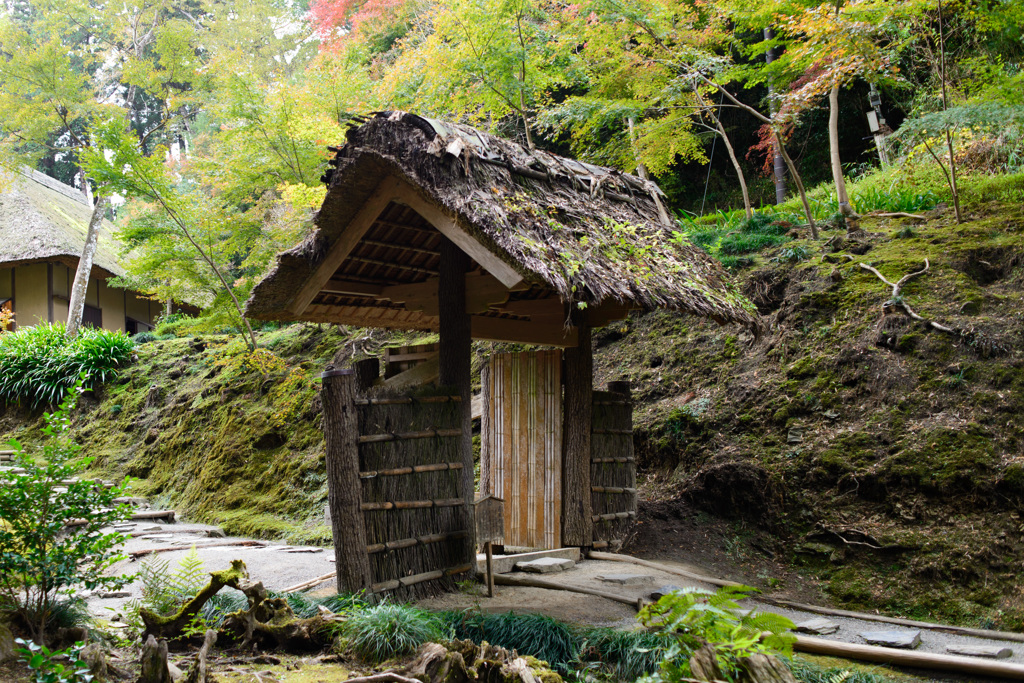 西山荘①
