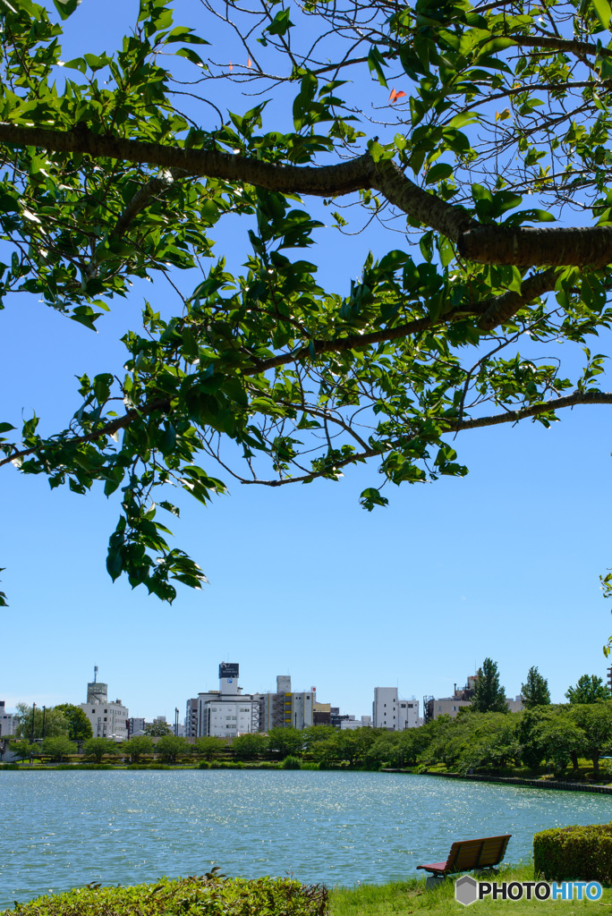 ７月の空②