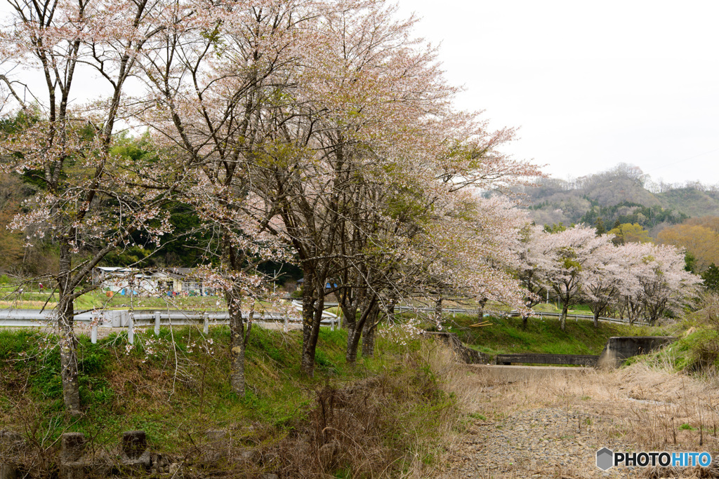 大子町相川