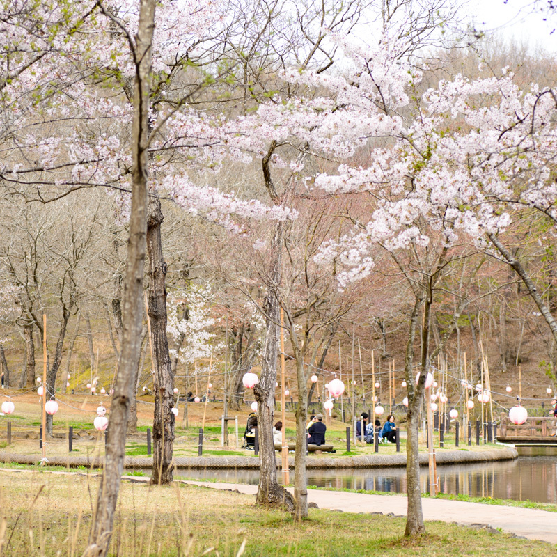 北山公園①