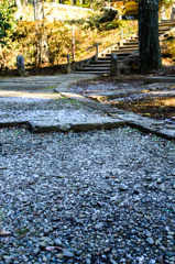 厳寒の参道