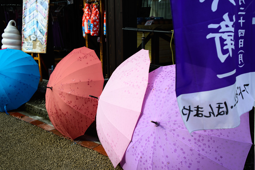 菊祭⑤