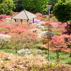 佐白山②