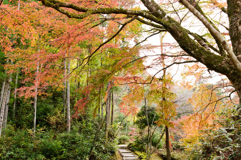西山荘⑥