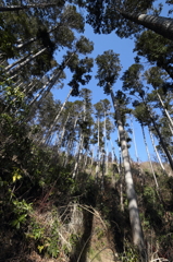 69高尾山
