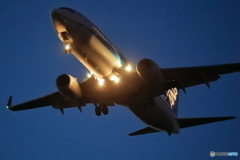 初めての夜活？夕活？　ANA