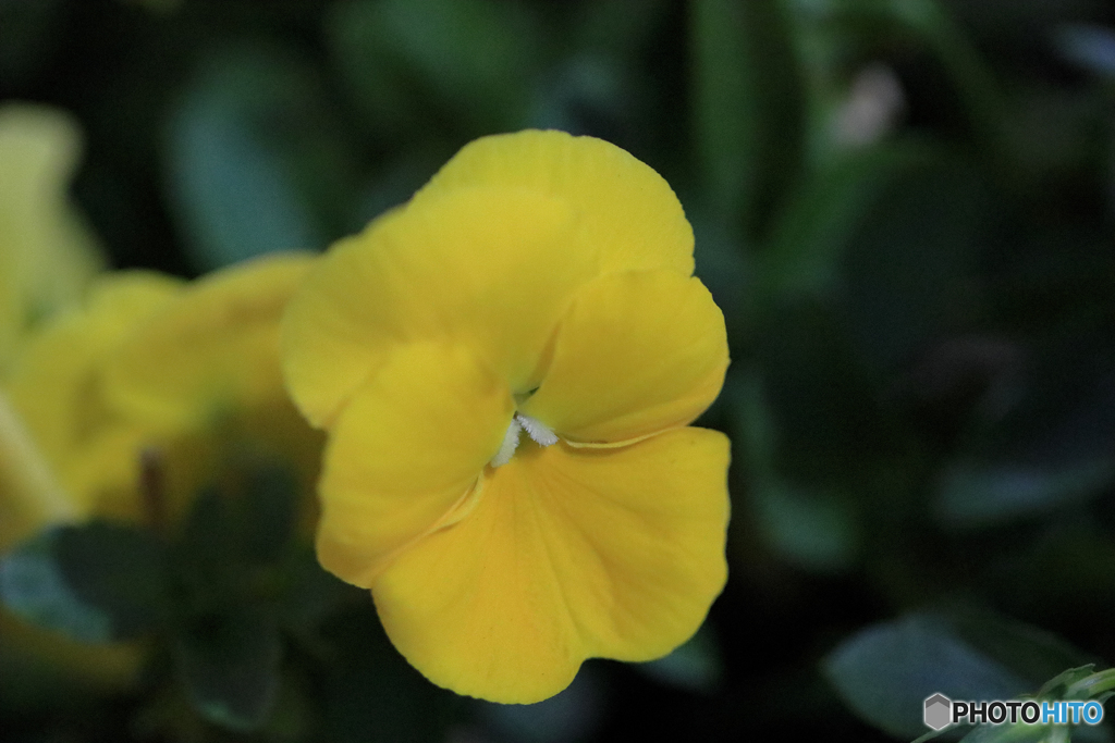 マクロは難しいね！！　Ｎｏ４