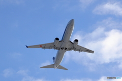 雪レフを求めて　新千歳空港　L19エンド　その１