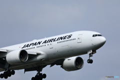 新千歳空港　9/22　その１２