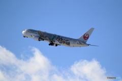 冬本番　新千歳空港　雪レフ最高　No2
