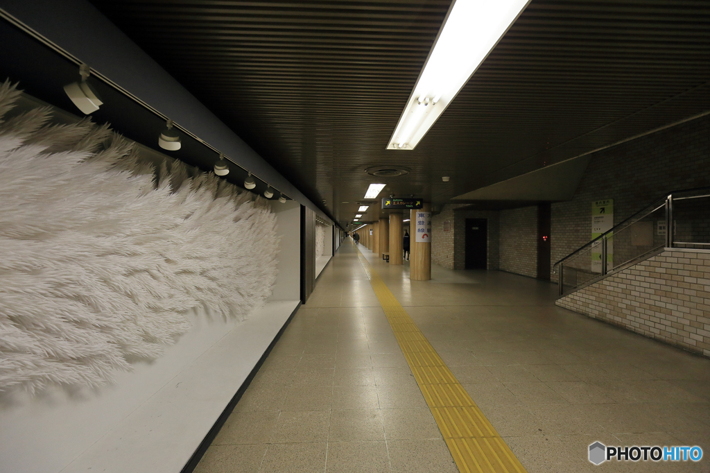 札幌大通り地下道　500ｍ美術館　２
