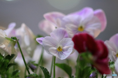 マクロは難しいね！！　Ｎｏ２