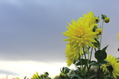 公園の1日　その４