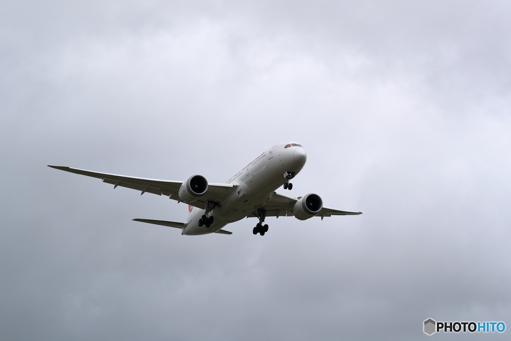 曇りの日の冴えない飛行機撮影　In　新千歳空港　19Lエンド　Part3