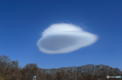 中になにかが