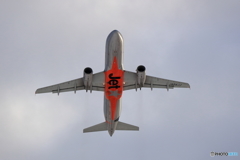 雪レフを求めて　新千歳空港　L19エンド　その６