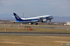 新千歳空港　生コンスポット１７