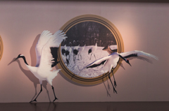 千歳空港トリックアート２