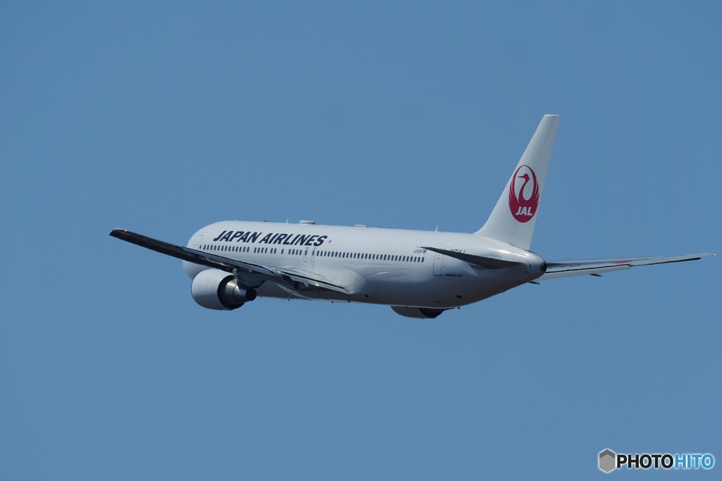 新千歳空港　生コンスポット　JAL