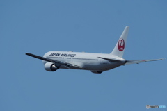 新千歳空港　生コンスポット　JAL