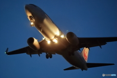 初めての夜活？夕活？　JAL