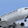新千歳空港　L19エンド