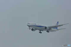 曇天の新千歳空港　（２／１３）　No.6