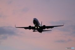 夕活　新千歳空港