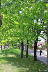 公園の風景　その２