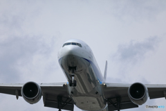 新千歳空港　9/22　その５