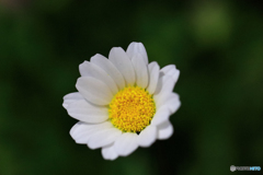 マクロは難しいね！！　Ｎｏ１