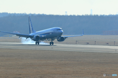 撮り納めか新千歳空港　No10