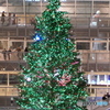 札幌ファクトリー　クリスマスツリー　No2