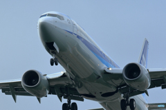 新千歳空港　　No1