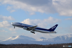 冬本番　新千歳空港　雪レフ最高　No9