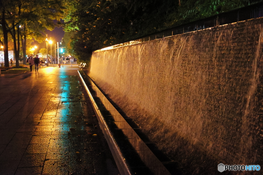 夜の大通公園　西向きに