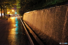 夜の大通公園　西向きに