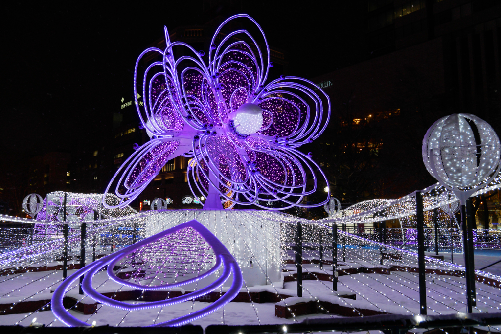 ホワイトイルミネーション　撮り比べしてみた。　Part3