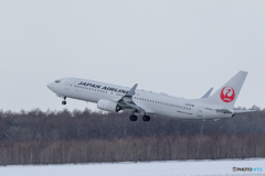 いつもの新千歳空港　生コンスポット　No.5